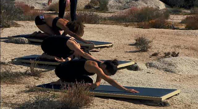 瑜伽 Deepak Chopra & Tara Stiles – Yoga Transformation_Weight Loss & Balance 动岚健身学院 百度网盘(816.68M)